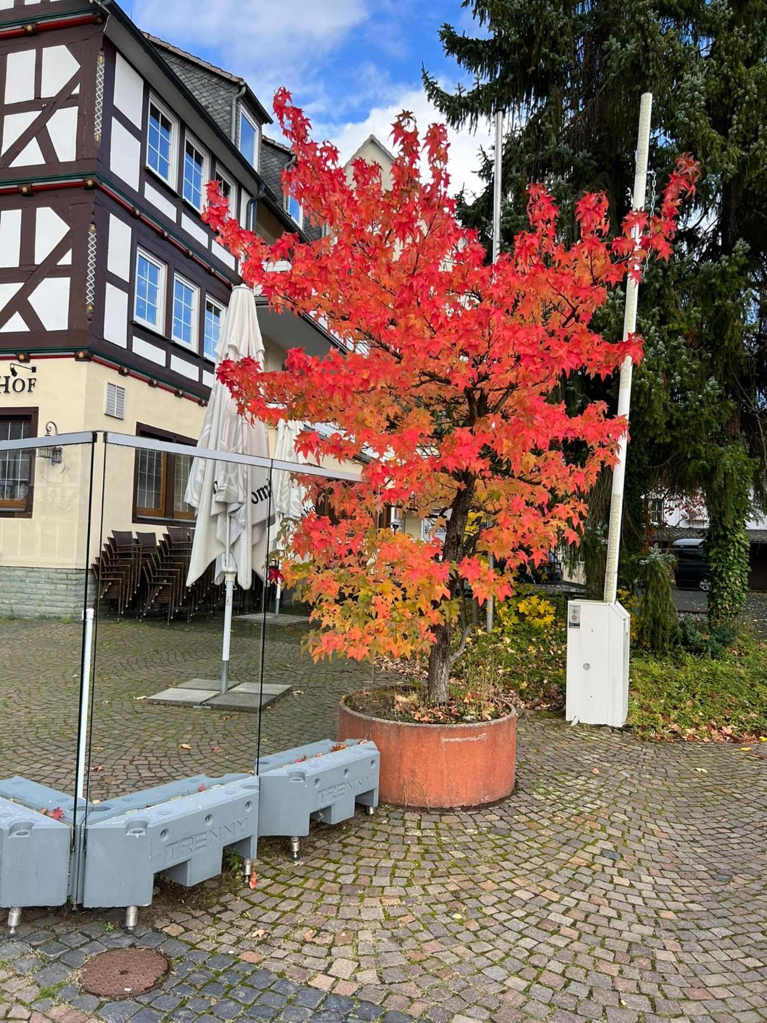 Hotel Wittgensteiner Hof Bad Laasphe Exterior photo
